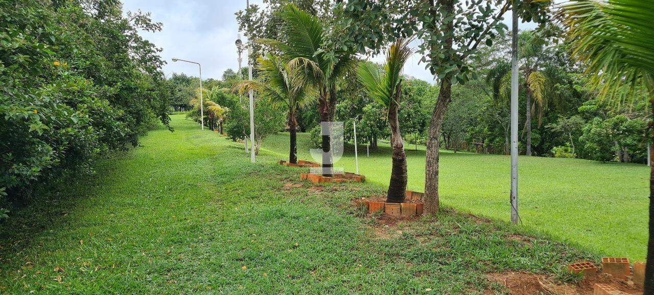 Fazenda à venda com 3 quartos, 300m² - Foto 33