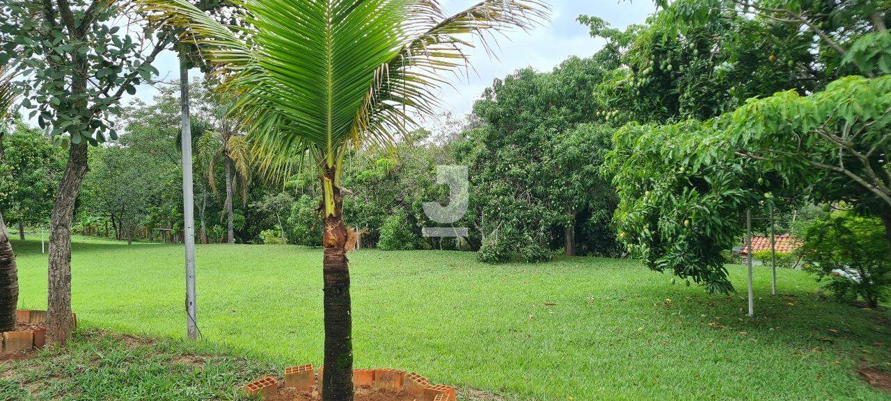 Fazenda à venda com 3 quartos, 300m² - Foto 43