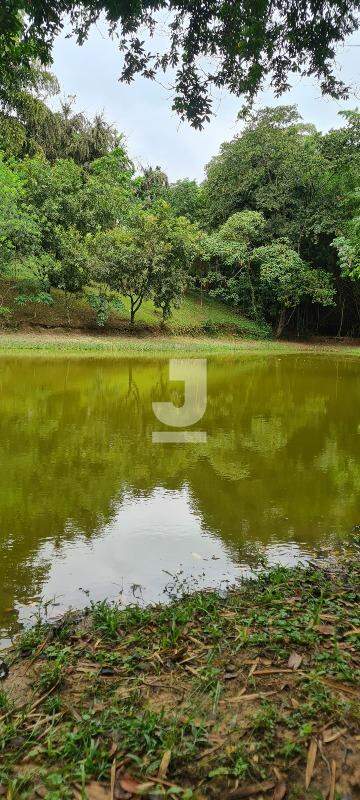 Fazenda à venda com 3 quartos, 300m² - Foto 15