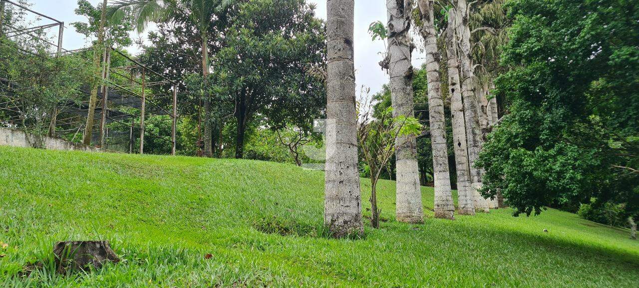 Fazenda à venda com 3 quartos, 300m² - Foto 13