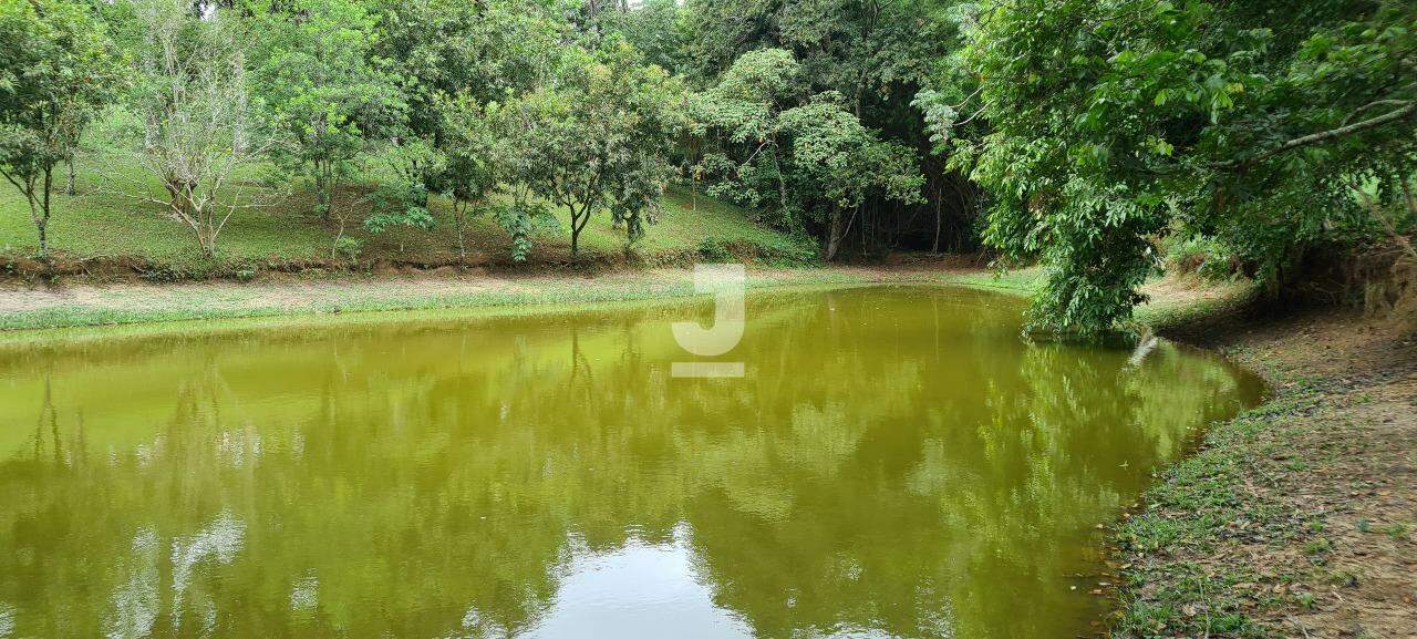 Fazenda à venda com 3 quartos, 300m² - Foto 17