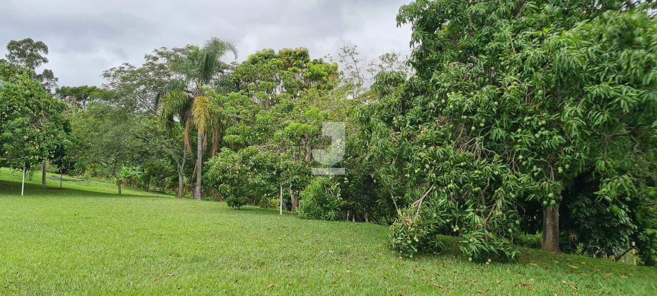 Fazenda à venda com 3 quartos, 300m² - Foto 6