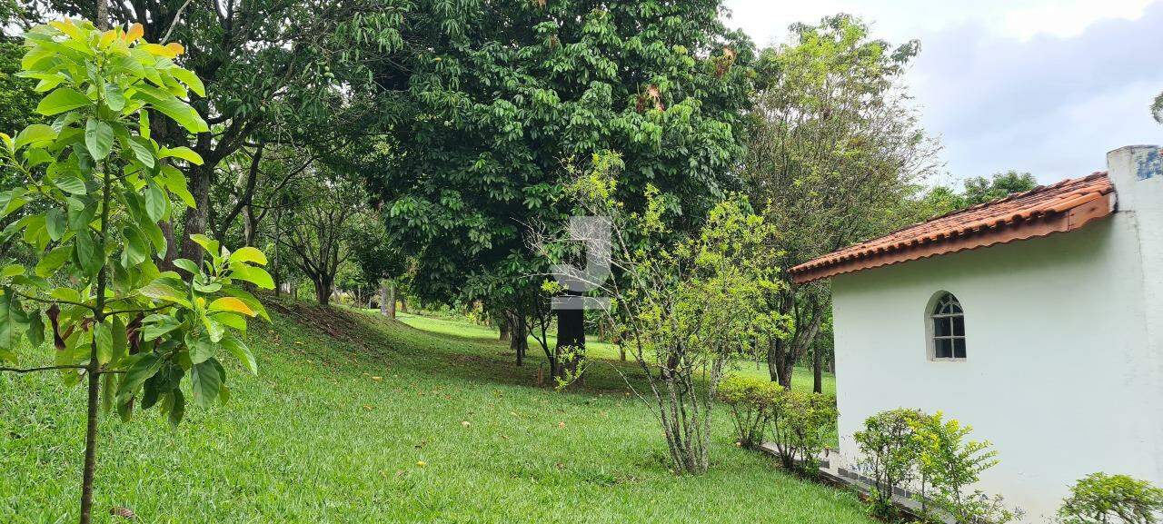 Fazenda à venda com 3 quartos, 300m² - Foto 47