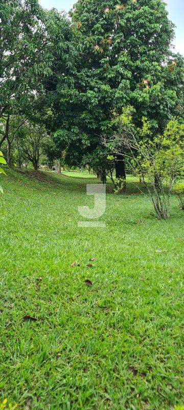 Fazenda à venda com 3 quartos, 300m² - Foto 42