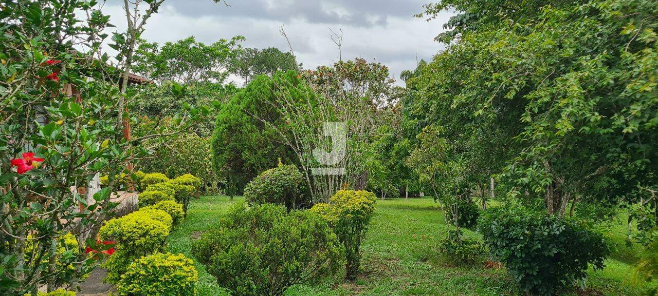 Fazenda à venda com 3 quartos, 300m² - Foto 8