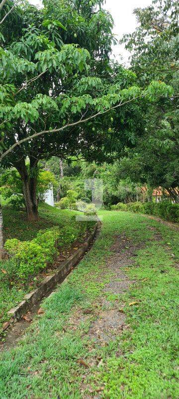 Fazenda à venda com 3 quartos, 300m² - Foto 41