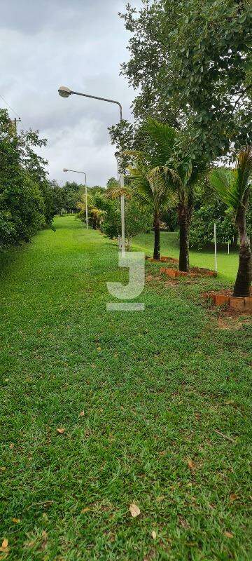 Fazenda à venda com 3 quartos, 300m² - Foto 36