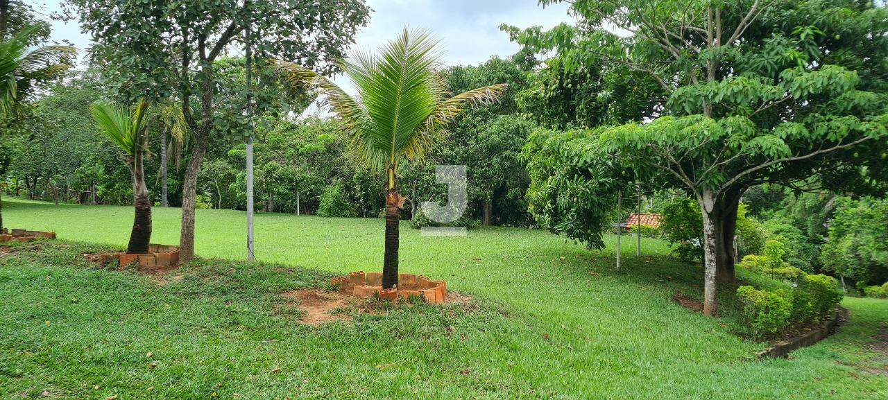 Fazenda à venda com 3 quartos, 300m² - Foto 32