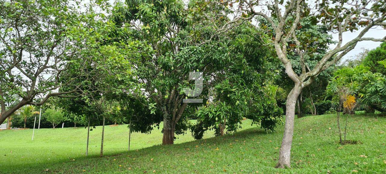 Fazenda à venda com 3 quartos, 300m² - Foto 22