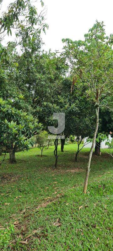 Fazenda à venda com 3 quartos, 300m² - Foto 3