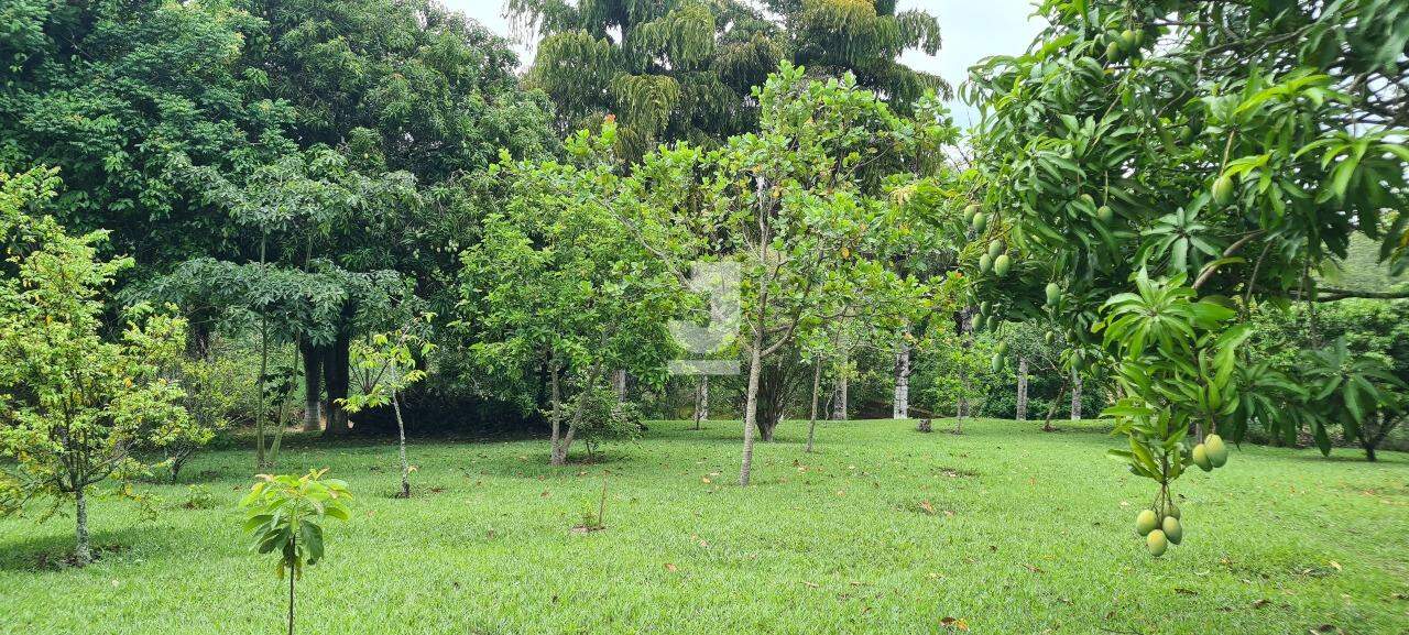 Fazenda à venda com 3 quartos, 300m² - Foto 1