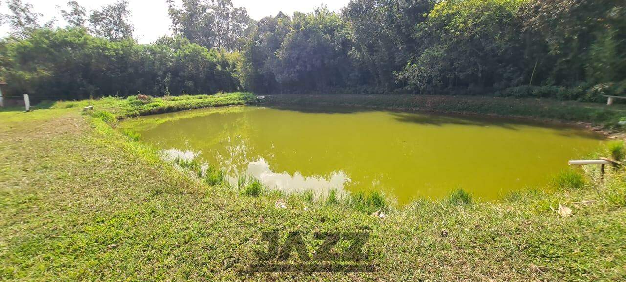 Fazenda à venda com 4 quartos, 500m² - Foto 48