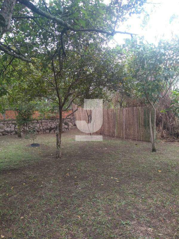 Fazenda à venda com 3 quartos, 183m² - Foto 25