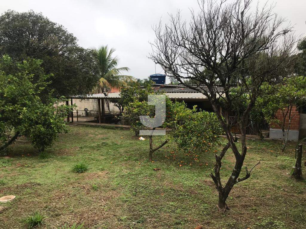 Fazenda à venda com 2 quartos, 248m² - Foto 31