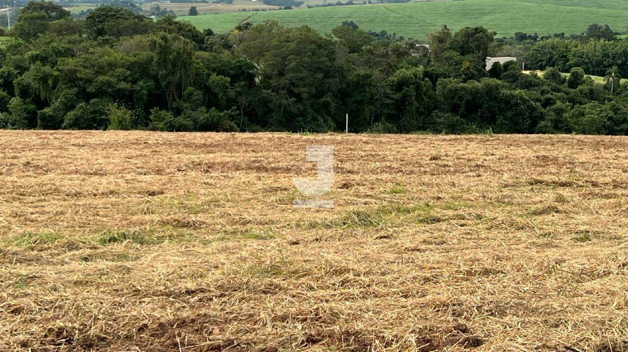 Terreno à venda, 20000m² - Foto 1