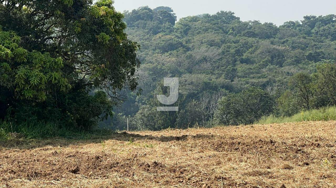 Terreno à venda, 20000m² - Foto 13