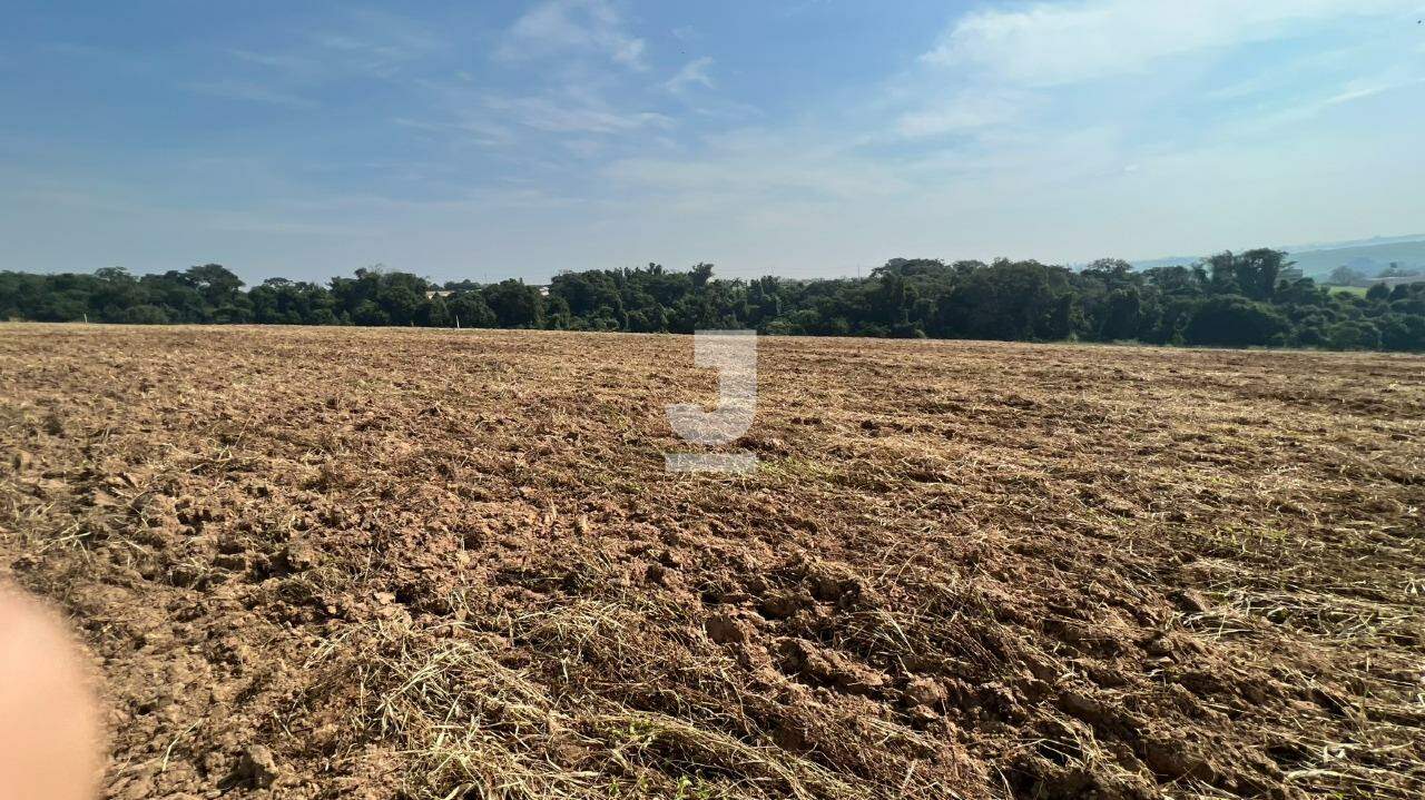 Terreno à venda, 20000m² - Foto 6