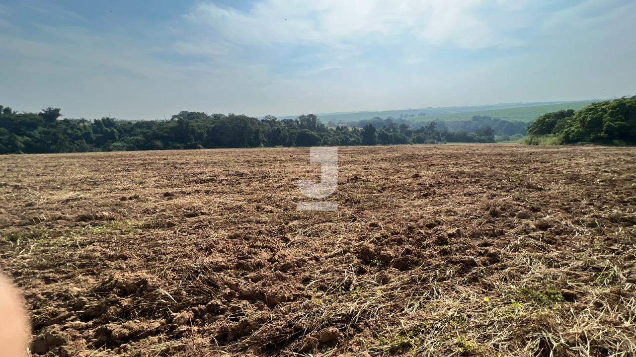 Terreno à venda, 20000m² - Foto 4