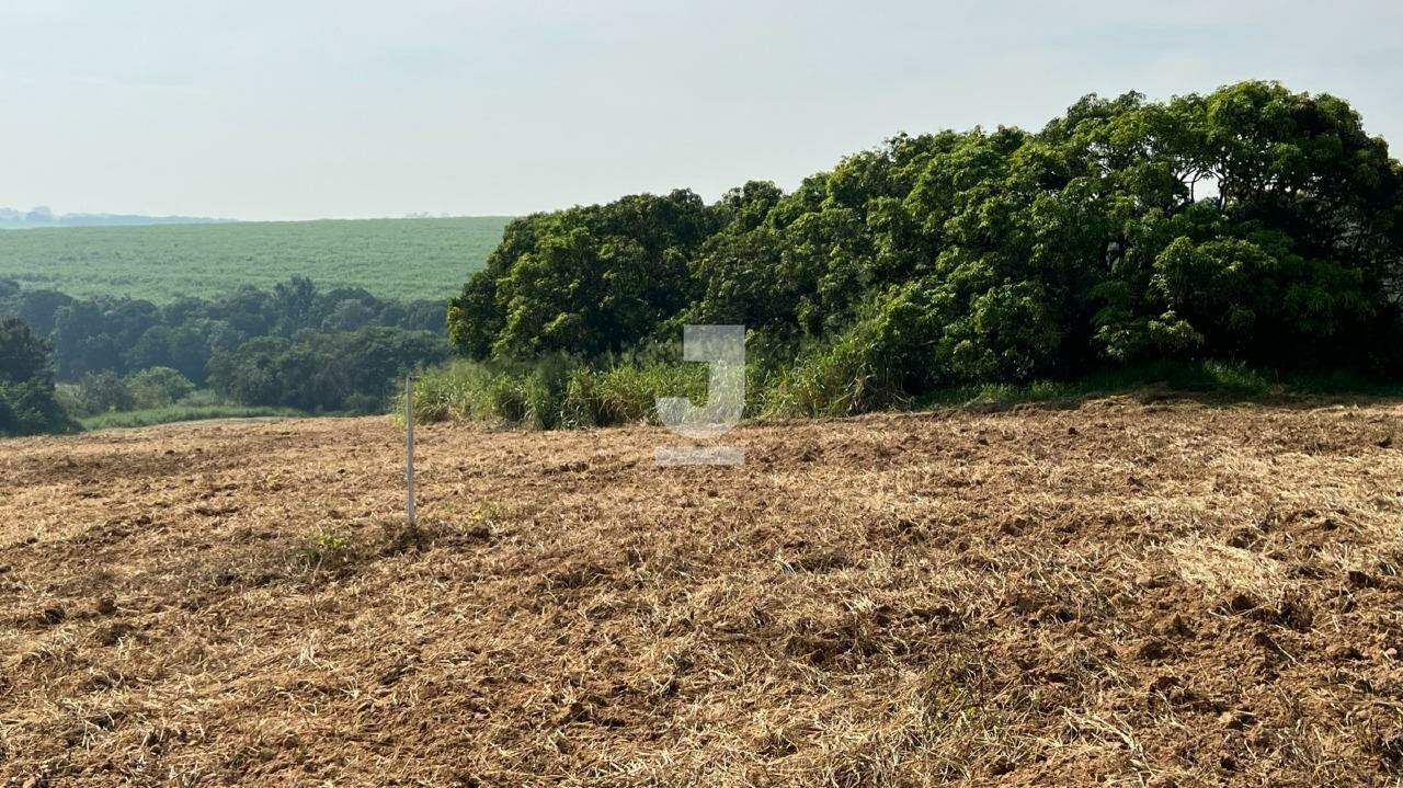 Terreno à venda, 20000m² - Foto 12