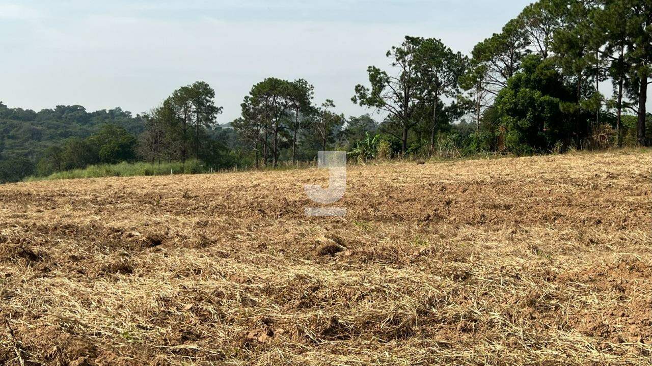 Terreno à venda, 20000m² - Foto 7