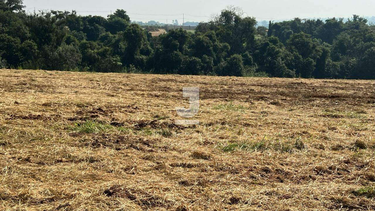 Terreno à venda, 20000m² - Foto 10