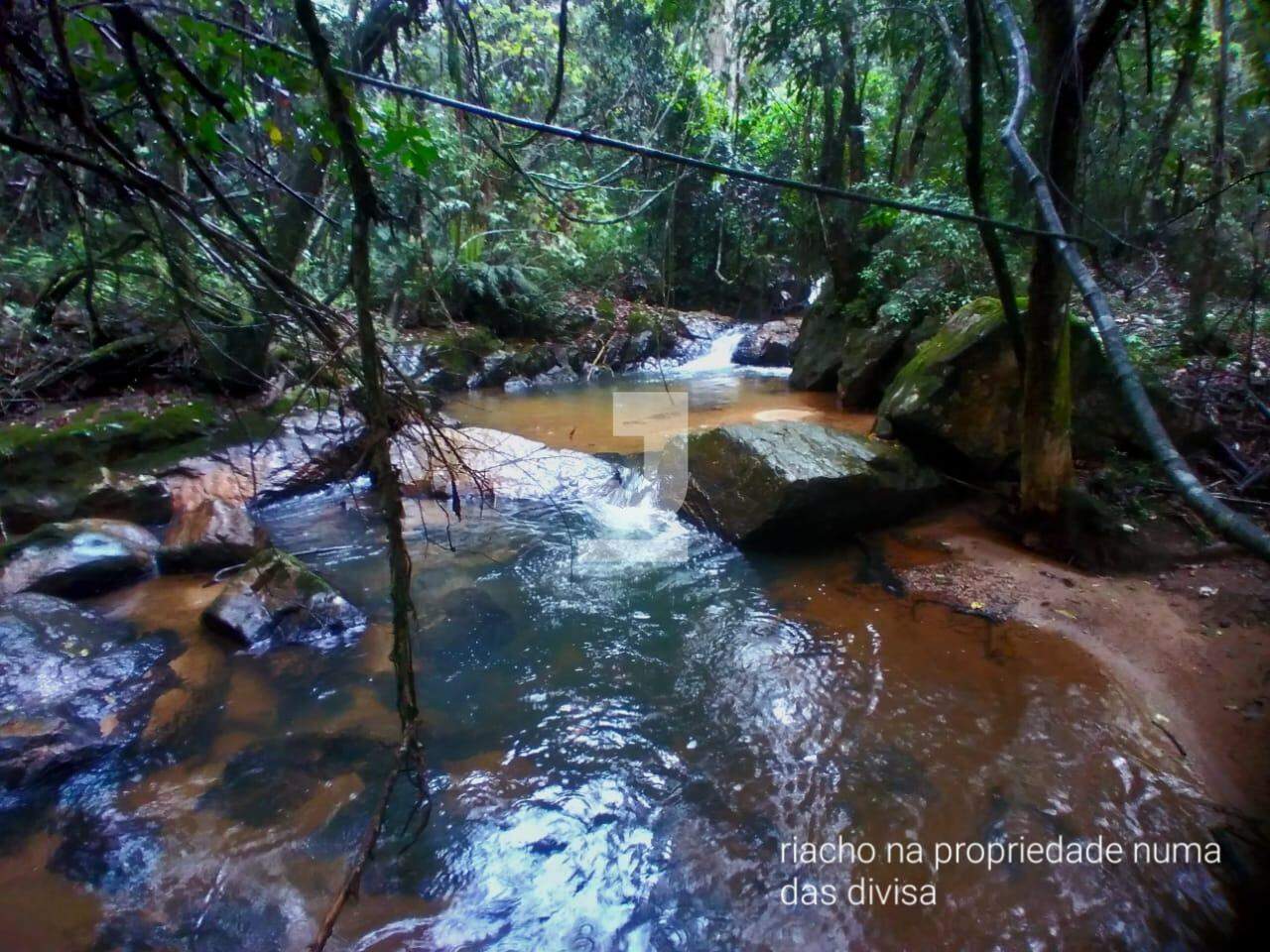 Fazenda à venda com 19 quartos, 925m² - Foto 14