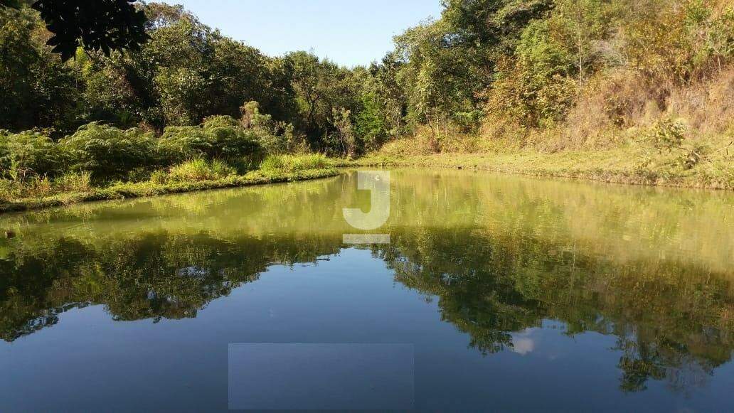 Fazenda à venda com 19 quartos, 925m² - Foto 22