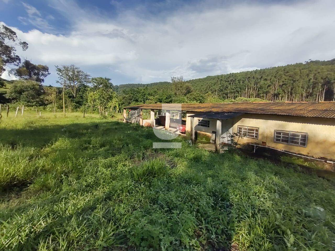 Fazenda à venda com 8 quartos - Foto 22