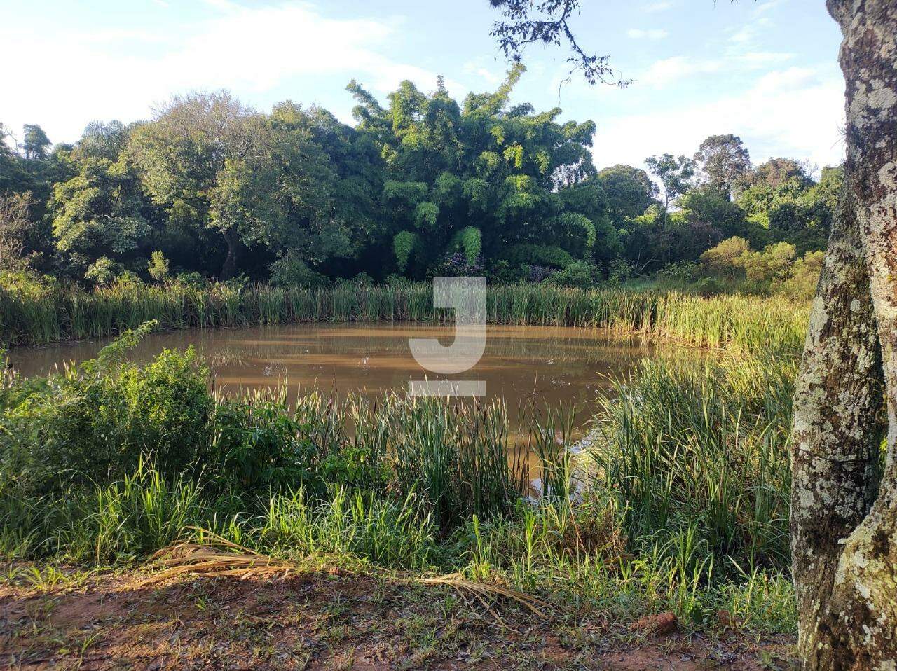 Fazenda à venda com 8 quartos - Foto 27