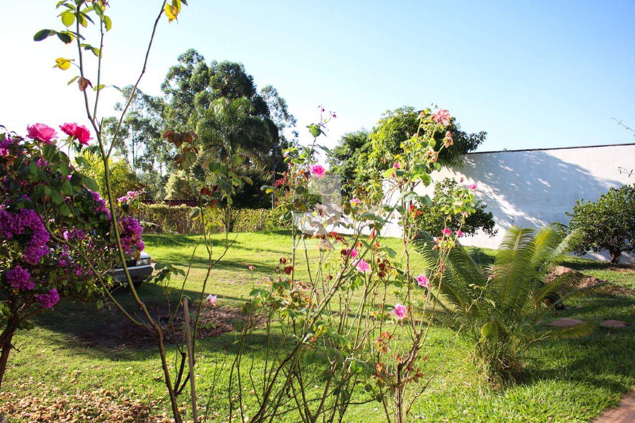 Fazenda à venda com 2 quartos, 96m² - Foto 11