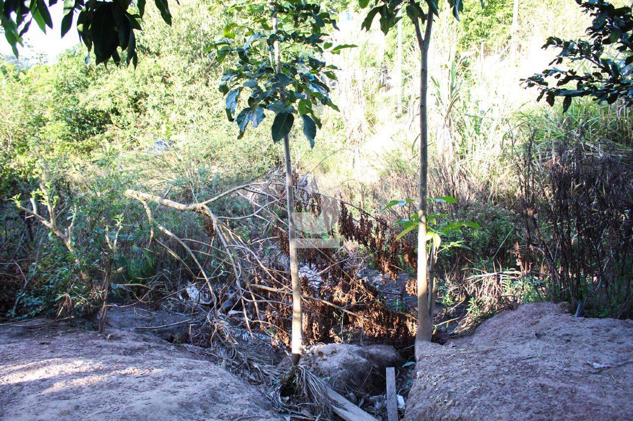 Fazenda à venda com 2 quartos, 96m² - Foto 56