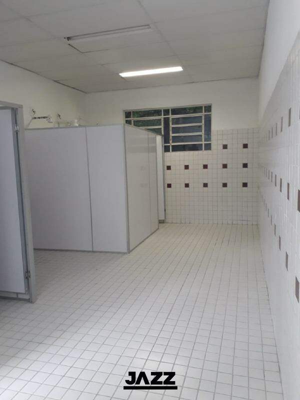 Fazenda à venda com 4 quartos, 80m² - Foto 26