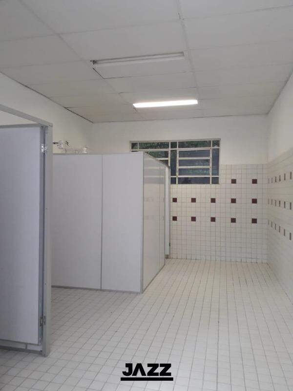 Fazenda à venda com 4 quartos, 80m² - Foto 29