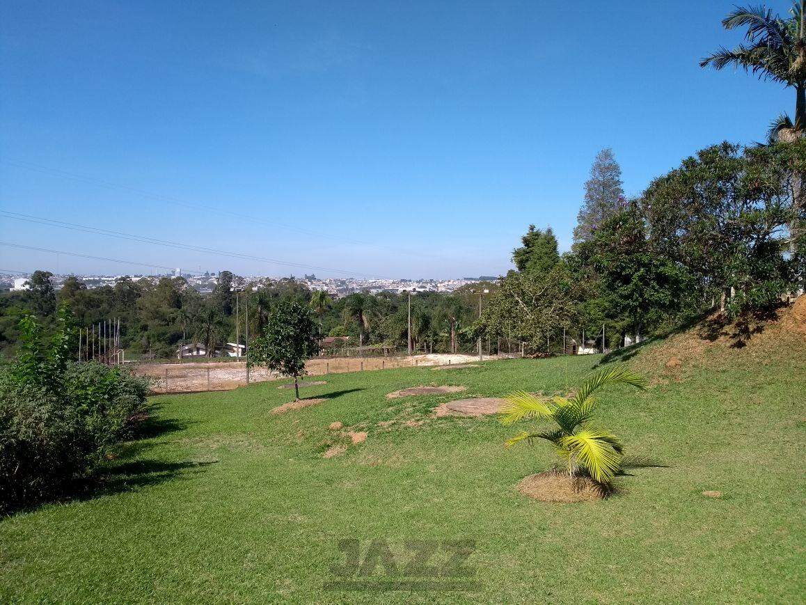 Fazenda à venda com 5 quartos, 200m² - Foto 3