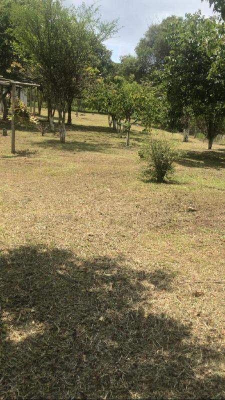 Fazenda à venda com 3 quartos, 250m² - Foto 21