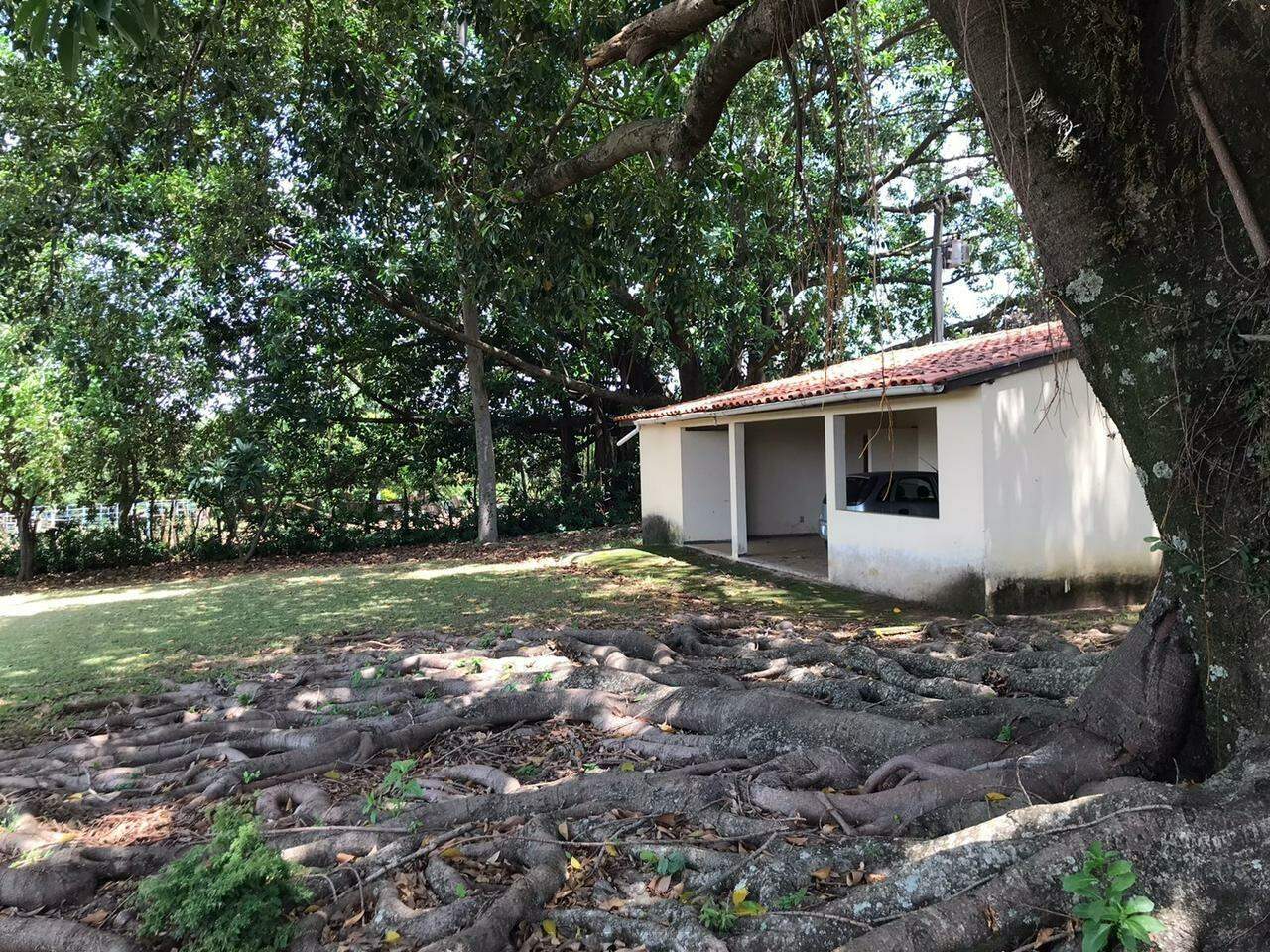 Fazenda à venda, 310m² - Foto 6