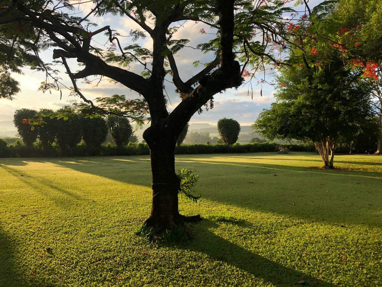 Fazenda à venda, 310m² - Foto 31