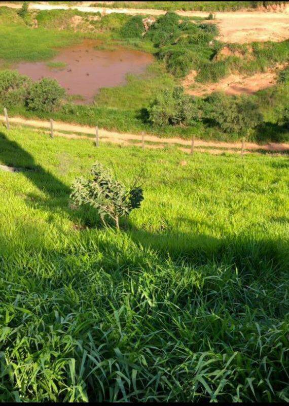 Terreno à venda, 1000m² - Foto 2