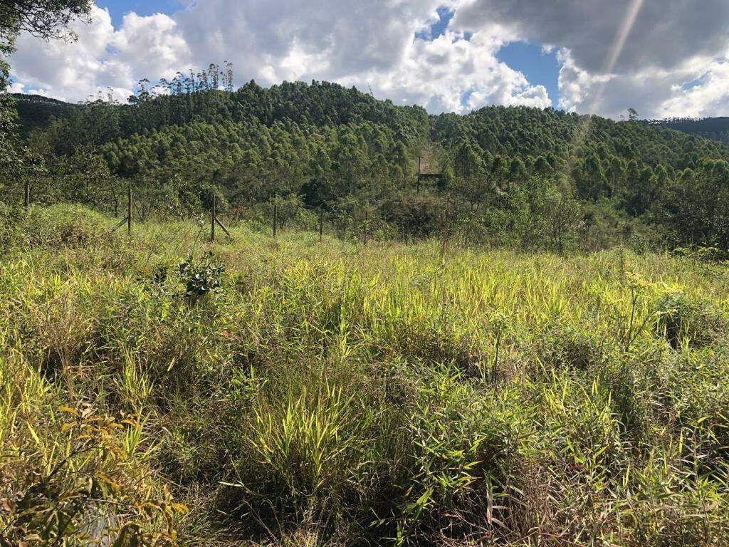 Terreno à venda, 1000m² - Foto 1