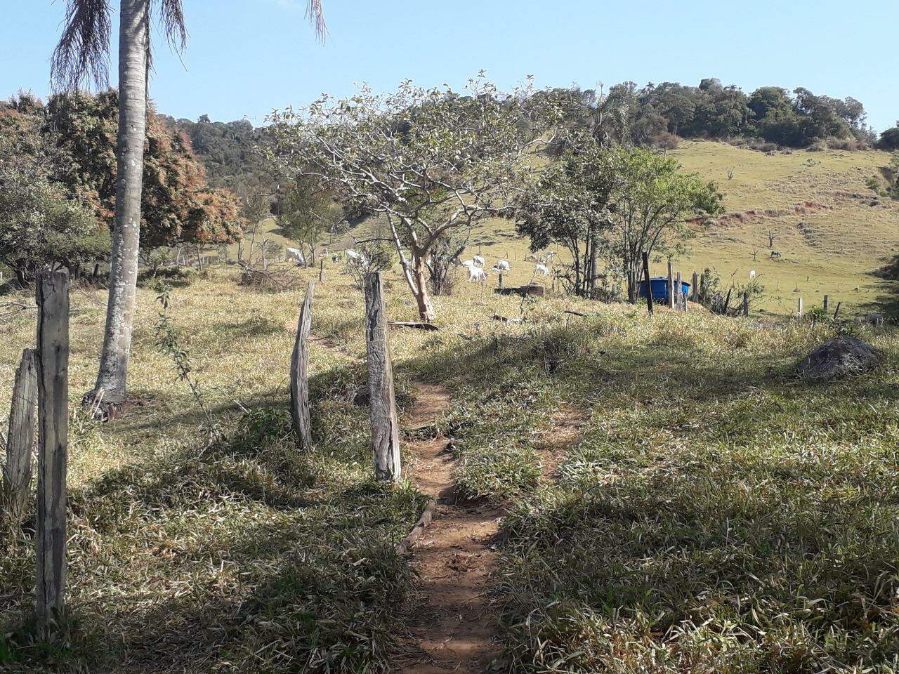 Fazenda à venda com 5 quartos, 367m² - Foto 9