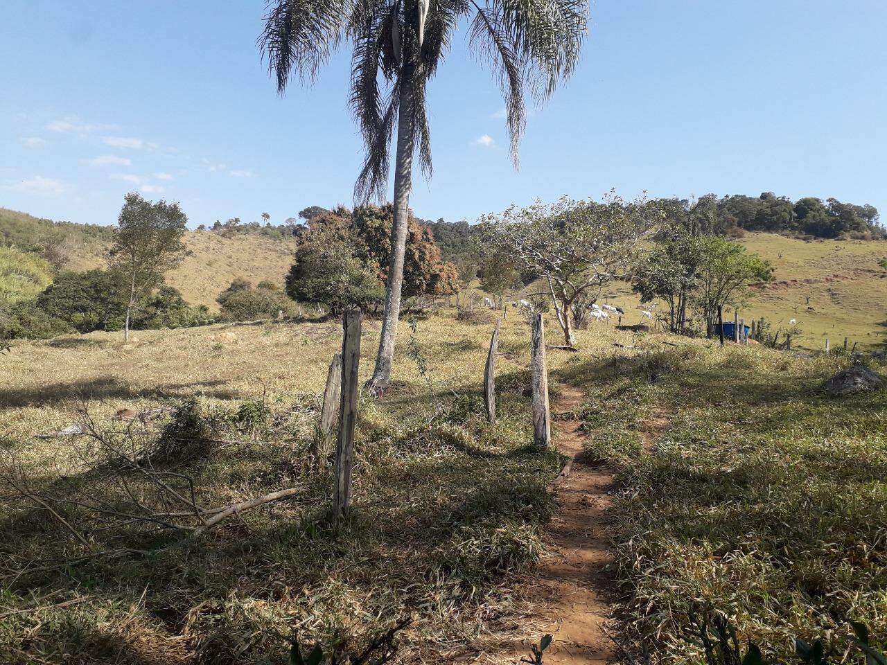 Fazenda à venda com 5 quartos, 367m² - Foto 3