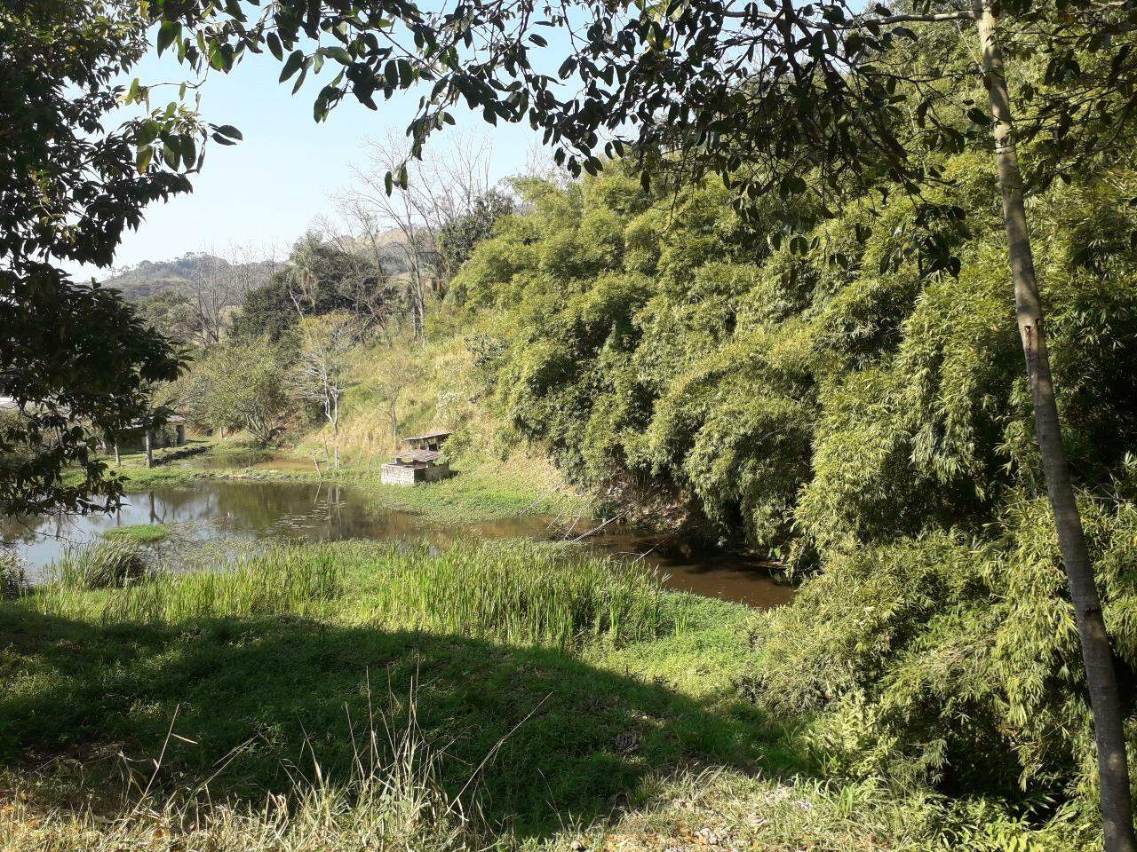 Fazenda à venda com 5 quartos, 367m² - Foto 2