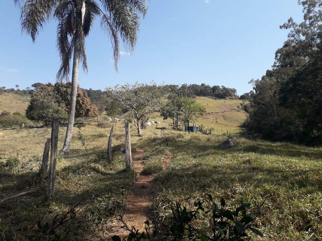 Fazenda à venda com 5 quartos, 367m² - Foto 5