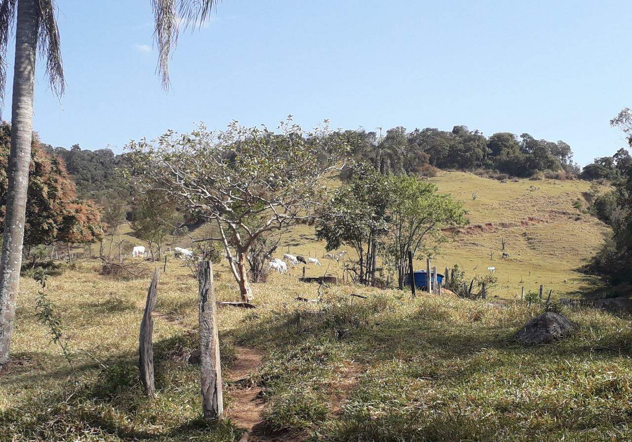 Fazenda à venda com 5 quartos, 367m² - Foto 26