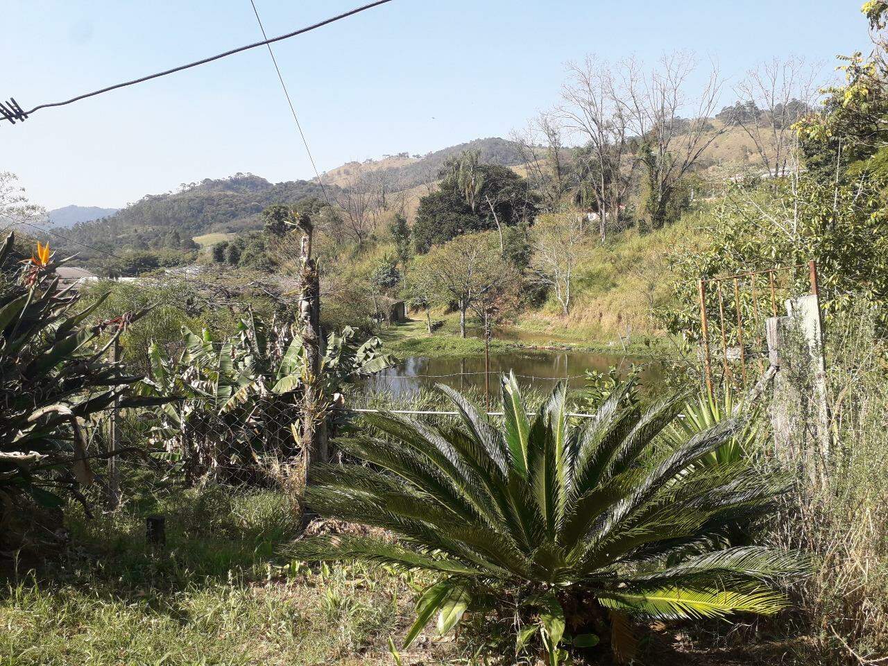 Fazenda à venda com 5 quartos, 367m² - Foto 1