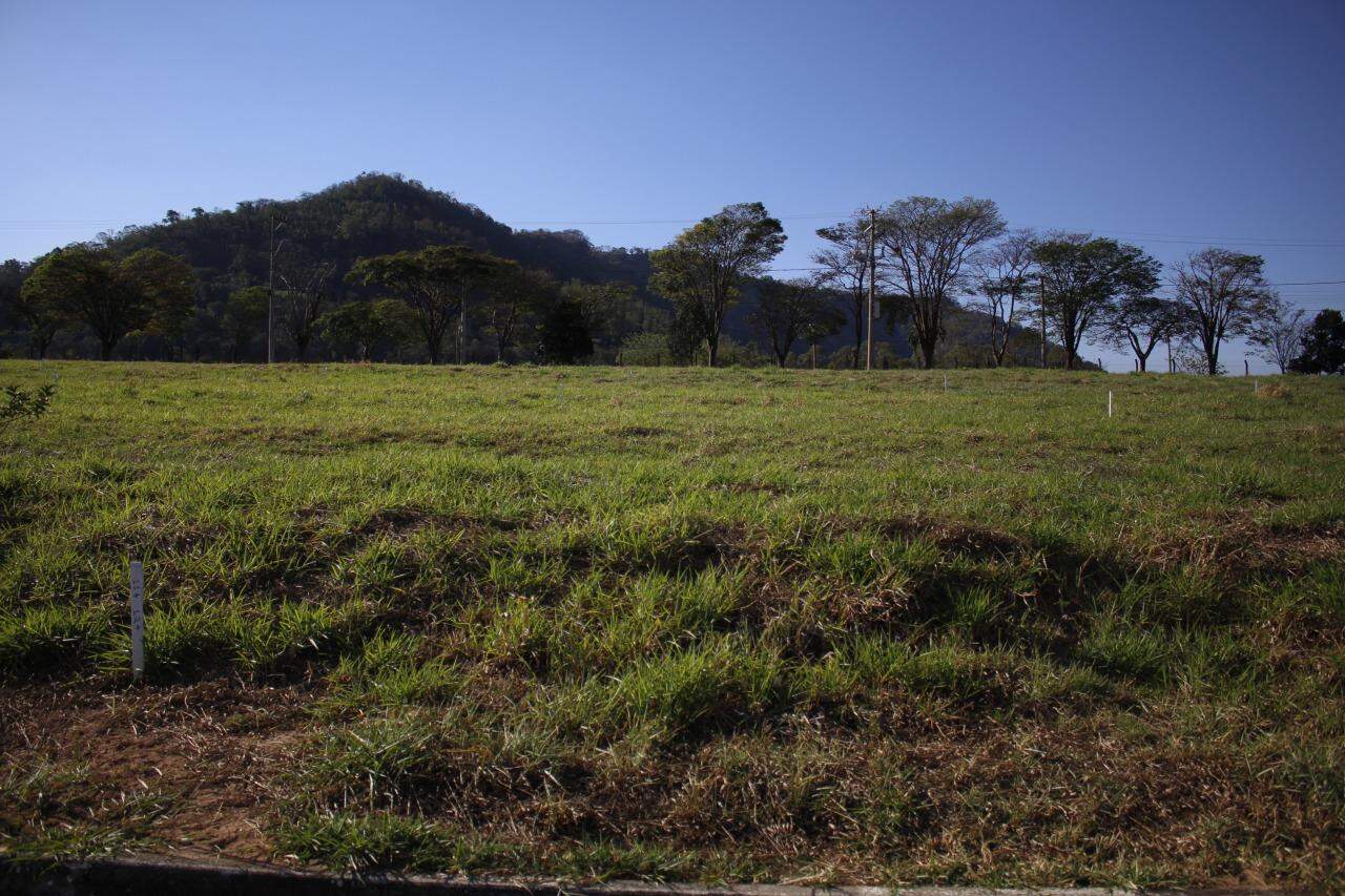 Terreno à venda, 300m² - Foto 2