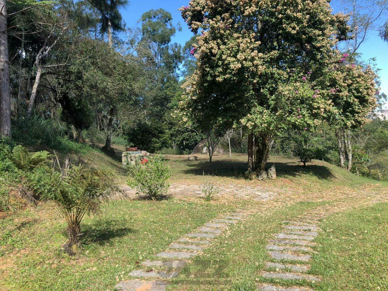 Fazenda à venda com 3 quartos, 207m² - Foto 35