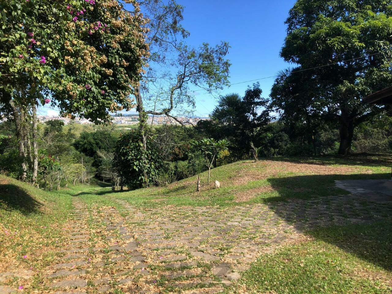 Fazenda à venda com 3 quartos, 207m² - Foto 34