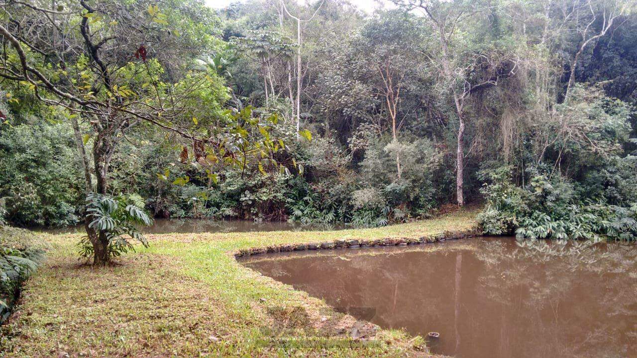 Fazenda à venda com 3 quartos, 207m² - Foto 39