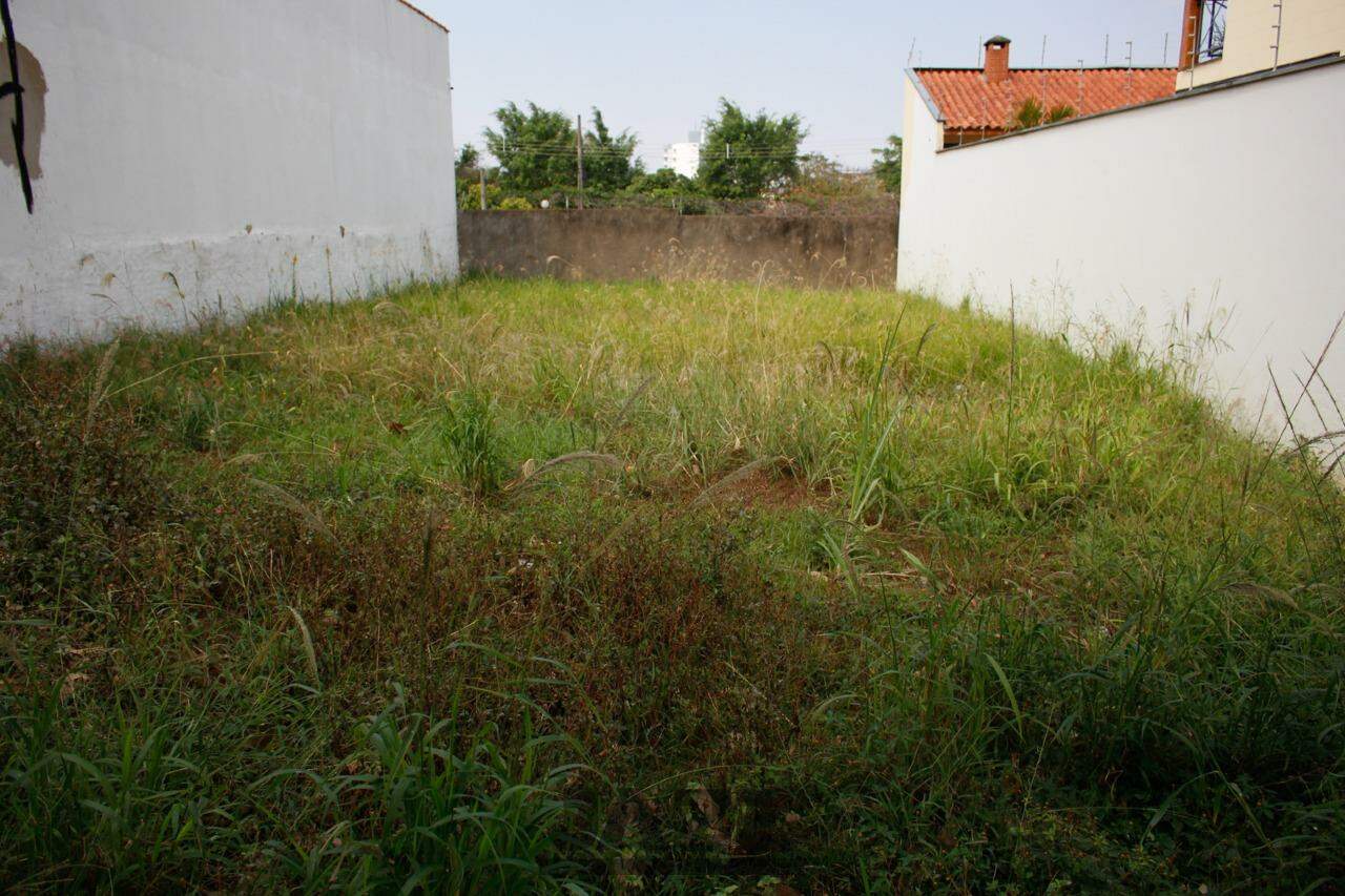 Terreno, 250 m² - Foto 2